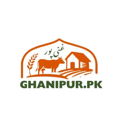 Ghanipur